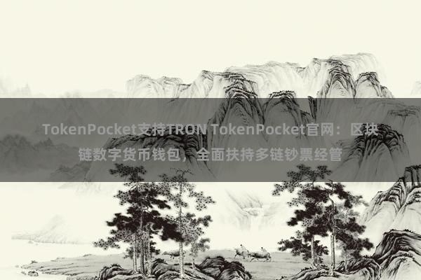 TokenPocket支持TRON TokenPocket官网：区块链数字货币钱包，全面扶持多链钞票经管